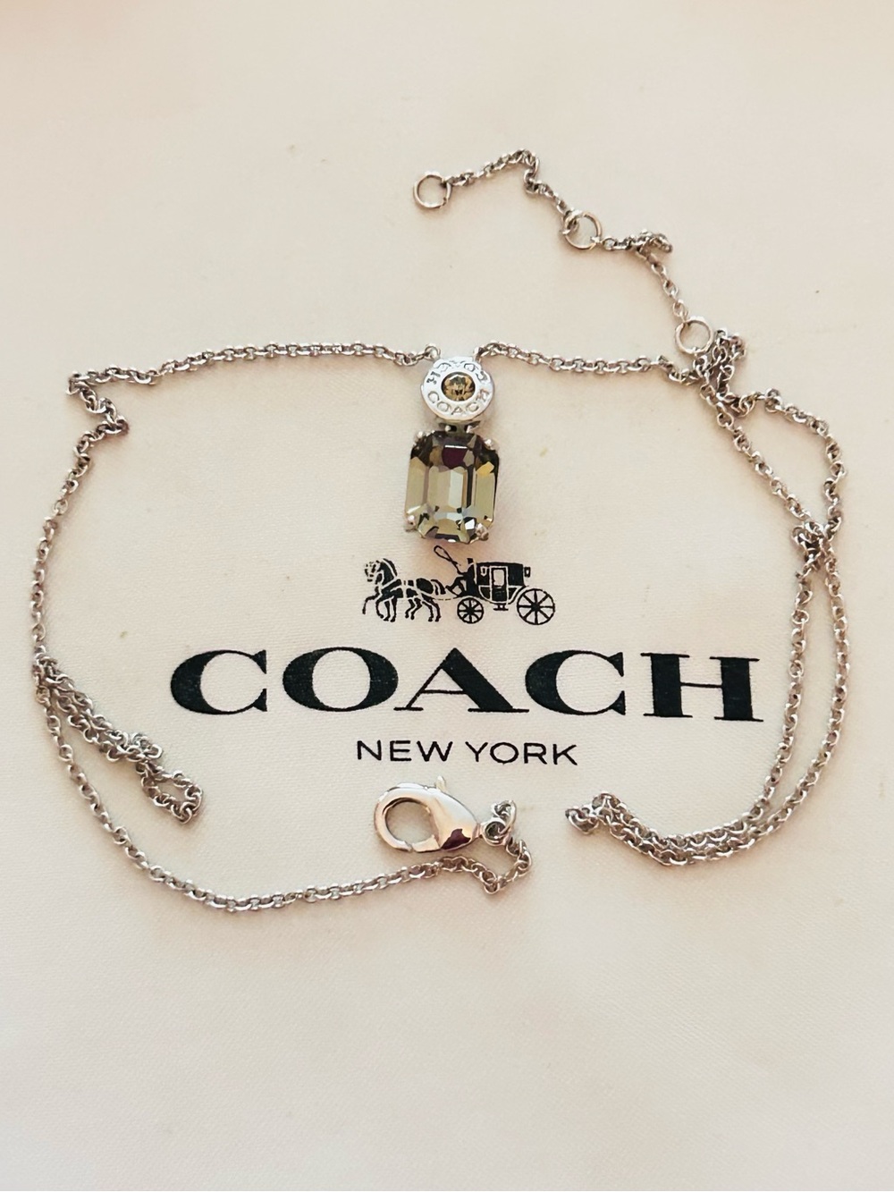 Coach Smoky Gray Stone Charm Necklace - Picture 5 of 14